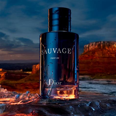 dior sauvage geizhals|Dior Sauvage cologne.